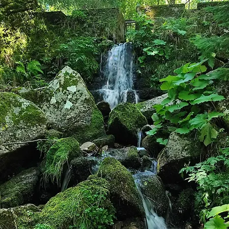 Le Marronnier Apartment Valleraugue
