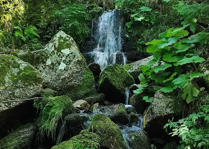 Le Marronnier Appartement Valleraugue